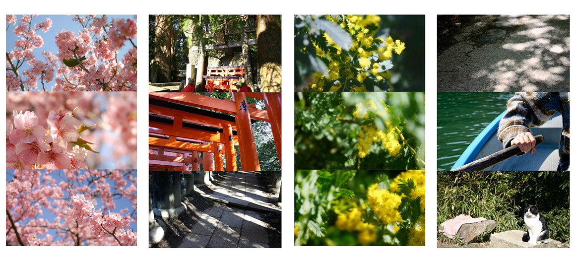 根岸 未央